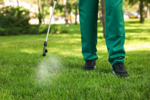 Best Exterminator Services  in Sheboygan, WI