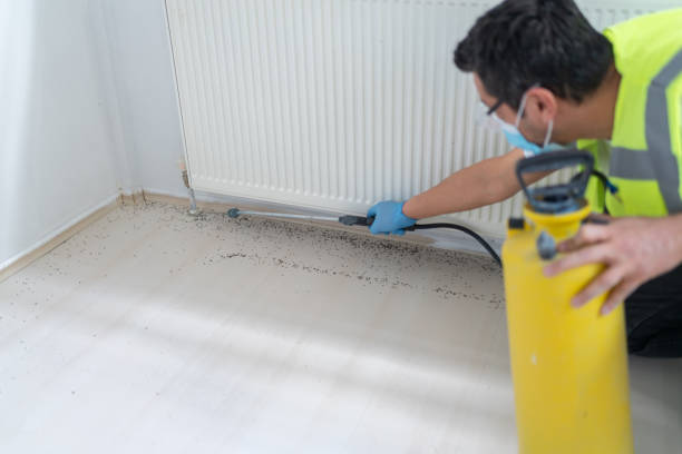 Best Pest Prevention Services  in Sheboygan, WI